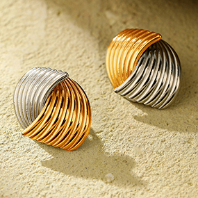 Stainless Steel Earrings