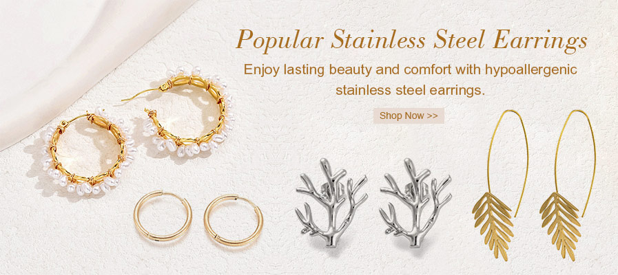 Popular Stainless Steel Earrings